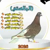 kjjeo58