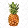 pineapple_515