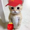 usmellusmellusmellusmell