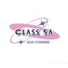 classva_0