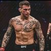 islam fighter☠️