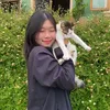 thaihoa.flower