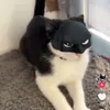 itamarvieiracosta15