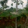 user2012675572328