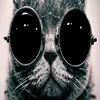 mangosigmo92