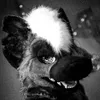 espressoyeen