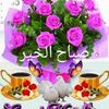 user221827250602
