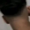 dzcc_xz