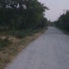 denis.sch2