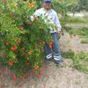 user84115136615035