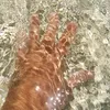 marco_catilani