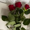l9alya