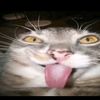 wam1xss
