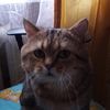 user9456662018753
