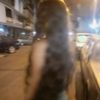 pretty_mimii8