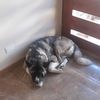 odio.a.los.zurdos