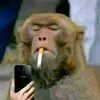 monk_mate