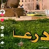 user53860044935817