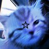 jinx_kindan07