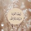 user72505633813065