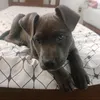 sofia.machado45