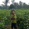pejuangkilometer887