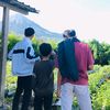 rowrr3_5