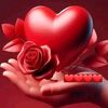 javed.ali7961