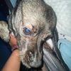 monica_2726