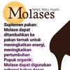 molase.1