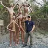 richard.ibaez3