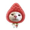 hanar_0259