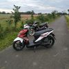 faiz_always