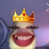 yonklexx0