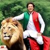 saleem.doger01