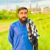 ghazanfarmalik44
