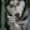 unknownuser272181