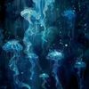 0cean._hn