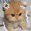itzzmesha3