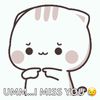 user8499746555411