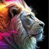 leo462463