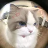 _methaolinh_