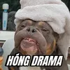HÓNG DRAMA🤔🤔