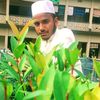 sadikur.rahman894