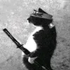 mrgato060