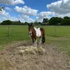 molly.stables8
