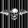 sarpin_gates