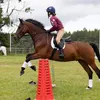laila_horseygirl
