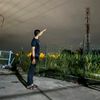 mohammadayaz847