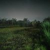 alex.candra0275